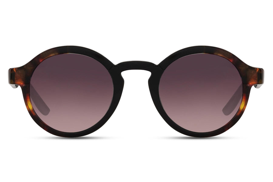 Runda solglasögon i svartbrunt med svartlila glas